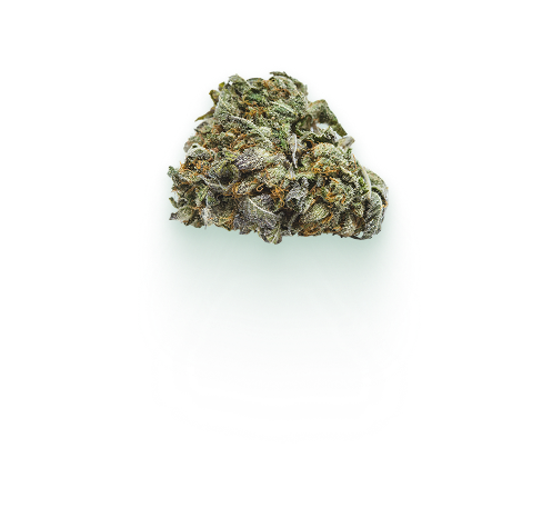Weed